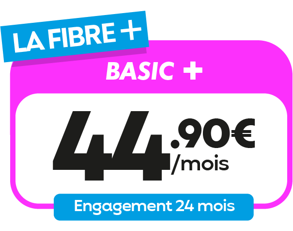 BASIC PLUS FIBRE 19-8